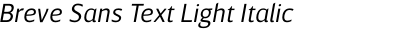 Breve Sans Text Light Italic